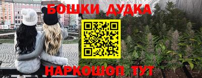 гашик Будённовск