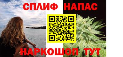 гашик Будённовск