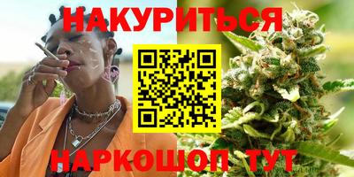 гашик Будённовск