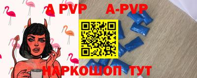 гашик Будённовск